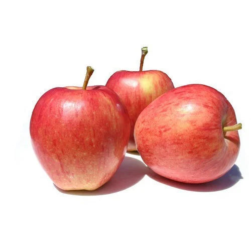 Apple Afghanistan Gala 6 Pcs