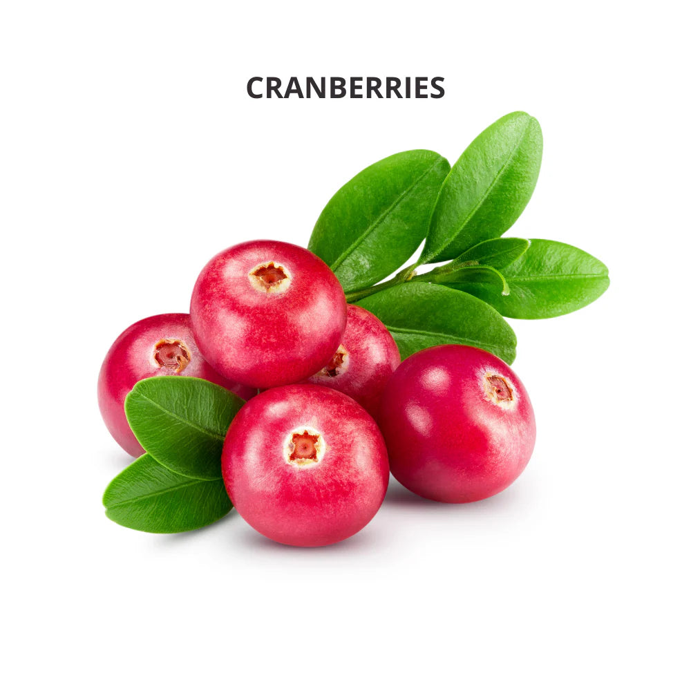 Cranberry (Imported) - 50gms