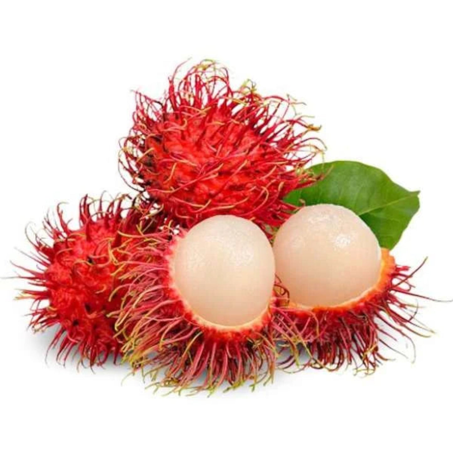 Rambuthan(250-270G)