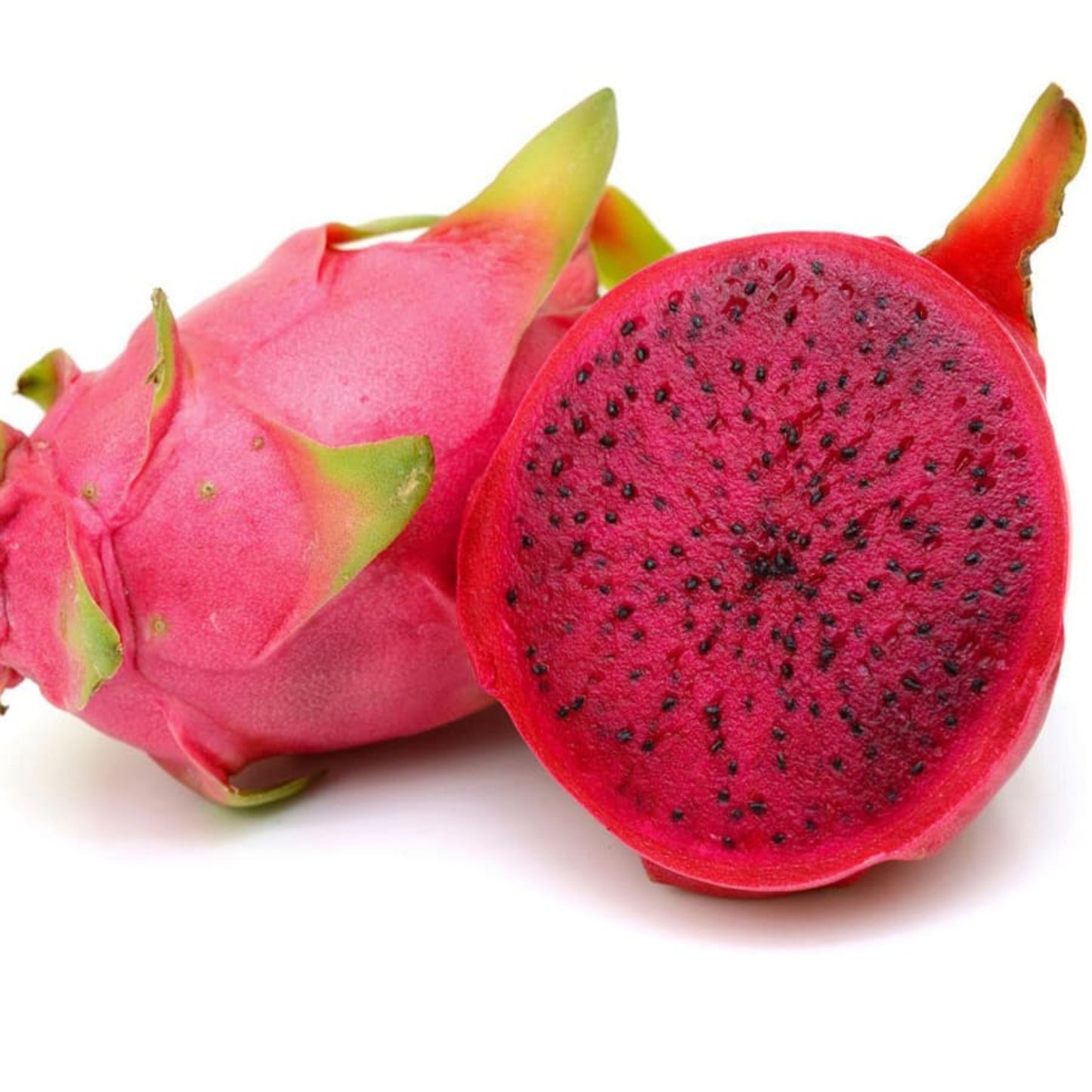 Red Dragon Pack of 3(800-900G)