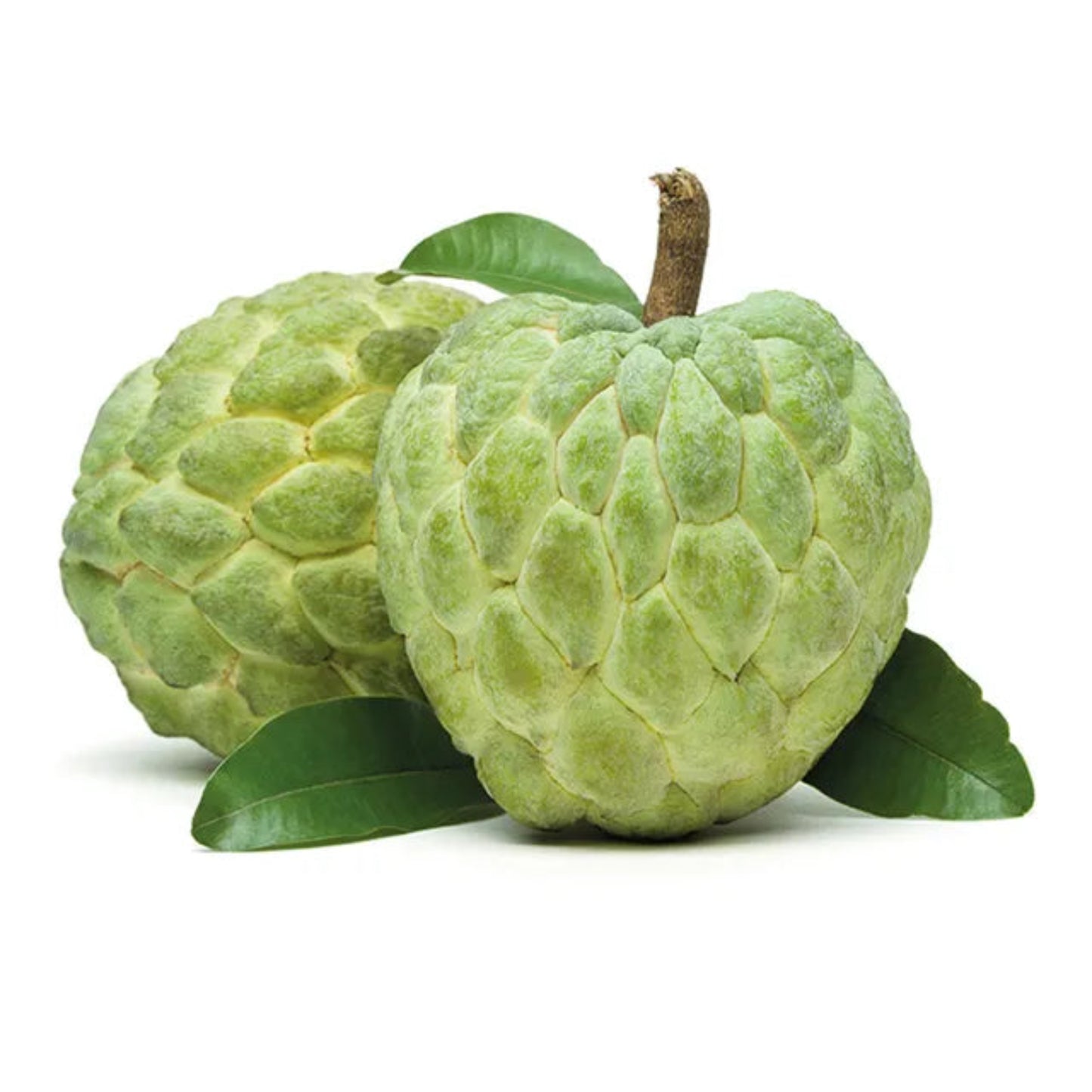 Custard Apple (Sitaphal) 1Kg