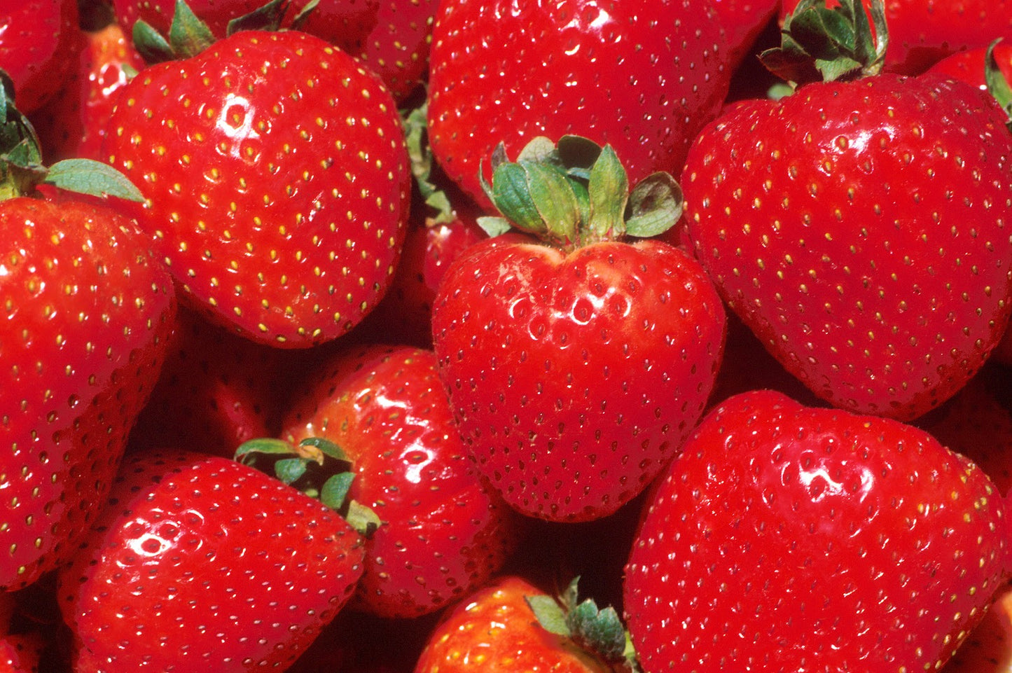 strawberry (350gms)