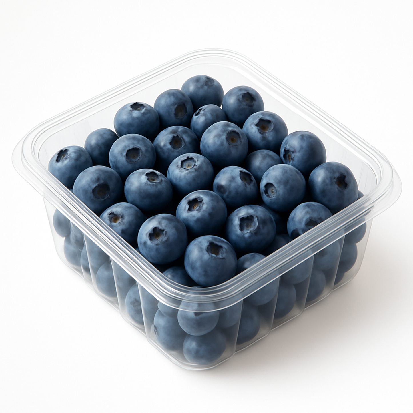 Blueberry Imported(Peru)-125G