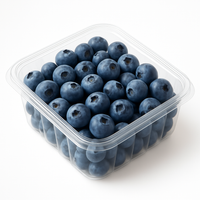 Blueberry Imported(Peru)-125G